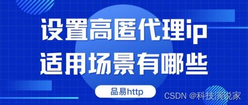 軟件開發(fā)中設置高匿代理IP的適用場景